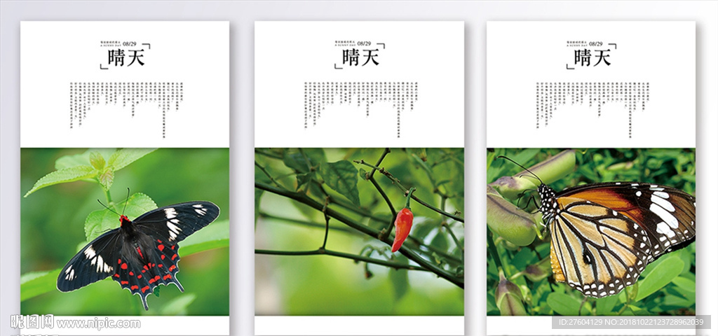 清新植物蝴蝶装饰画