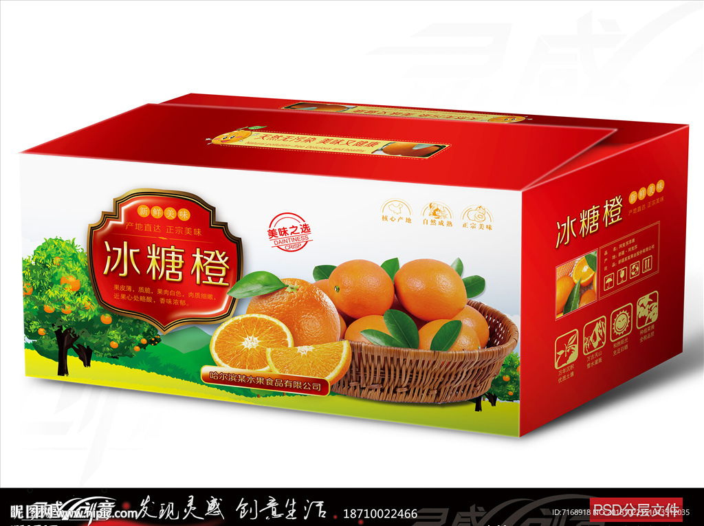 橙子包装 水果包装 橙子 血橙