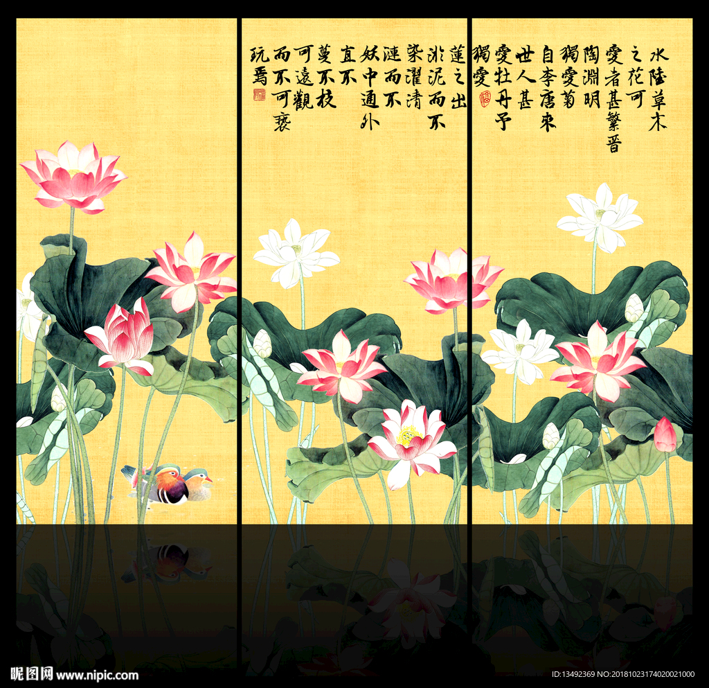 荷花图