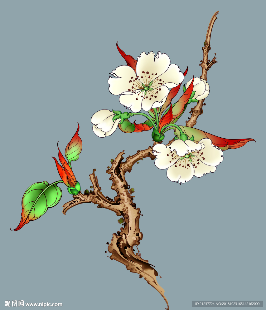 工笔花朵