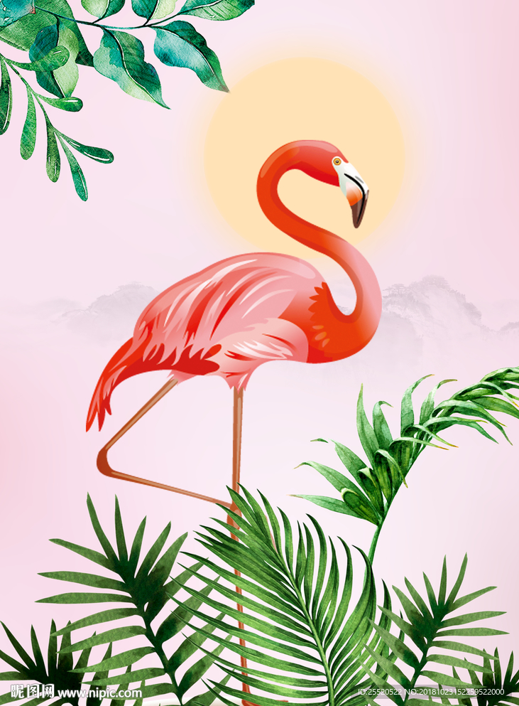 火烈鸟
