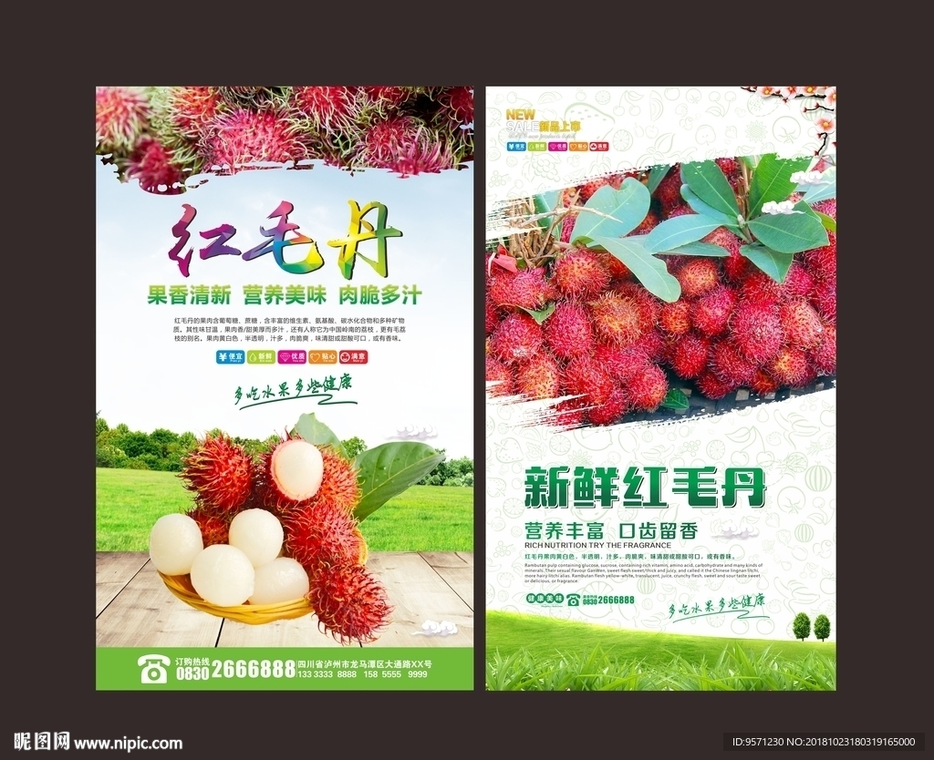 红毛丹
