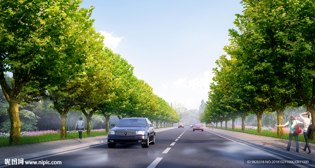 道路绿化