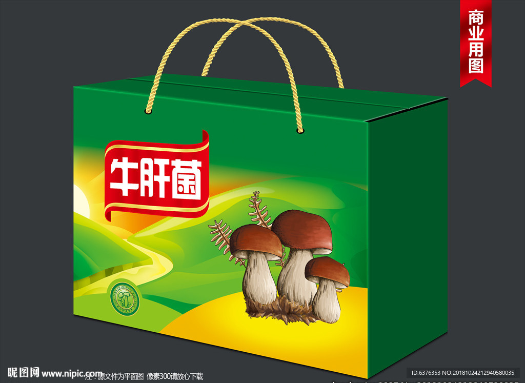牛肝菌