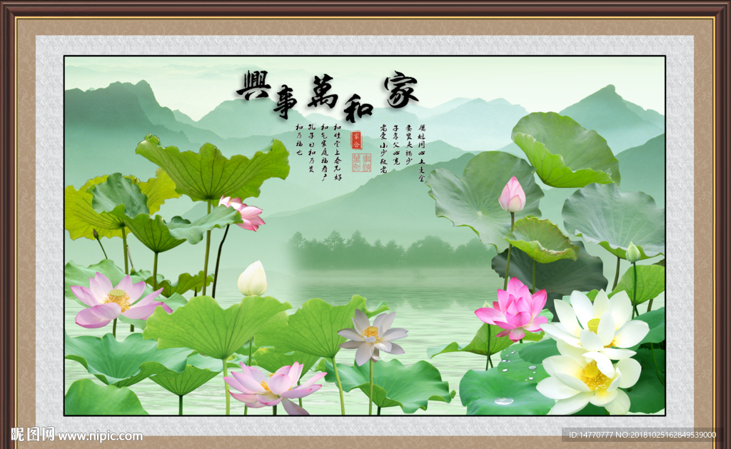 荷花图
