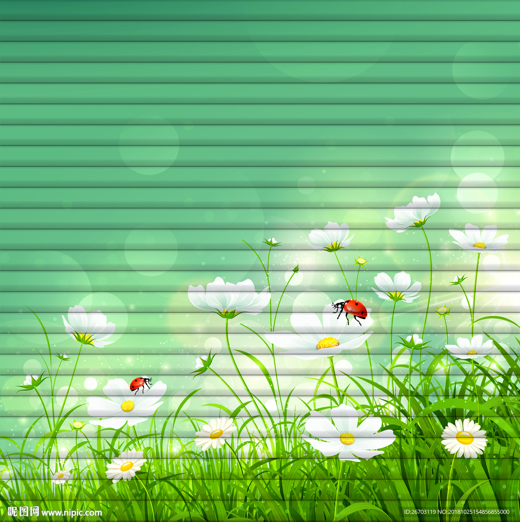 白花  虫子