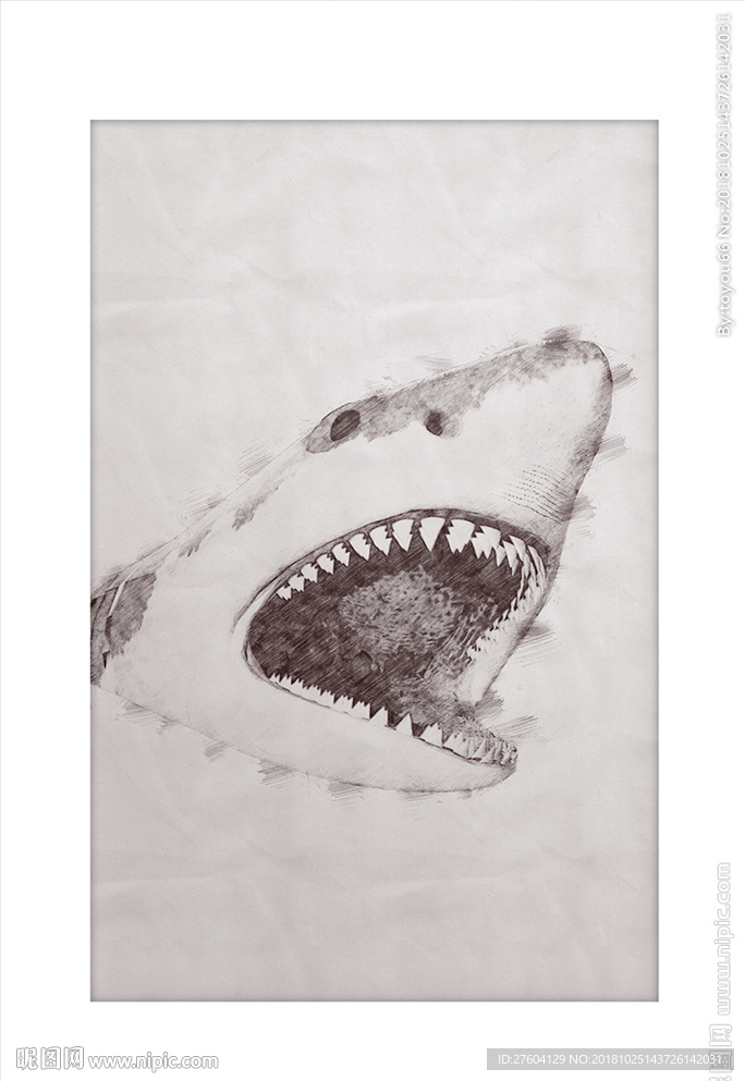 简约海洋生物鲨鱼素描装饰画