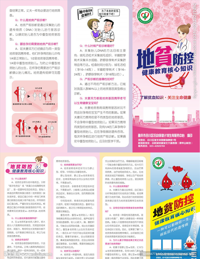 地中海贫血三折页