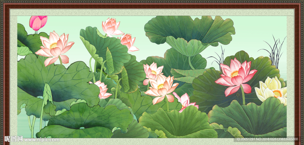 国画荷花