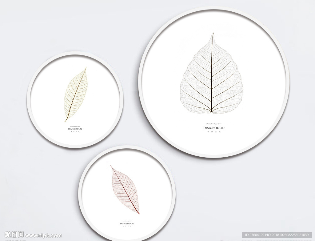植物叶脉三联圆形装饰画