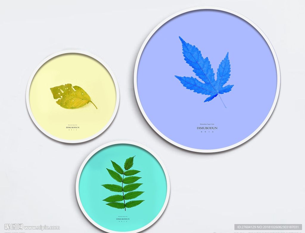 植物叶子三联圆形装饰画