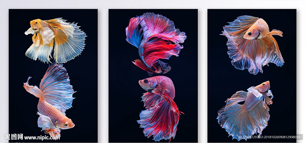 北欧动物晶瓷装饰画