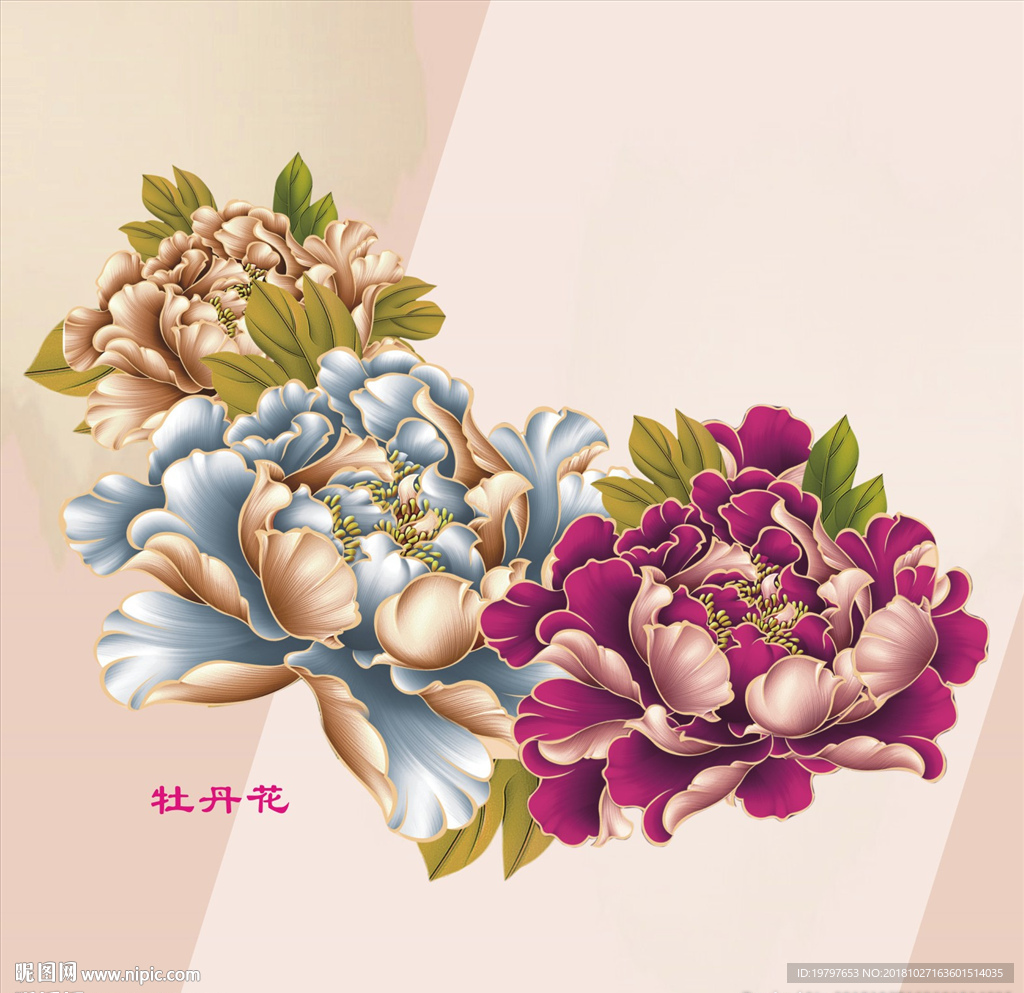 牡丹花