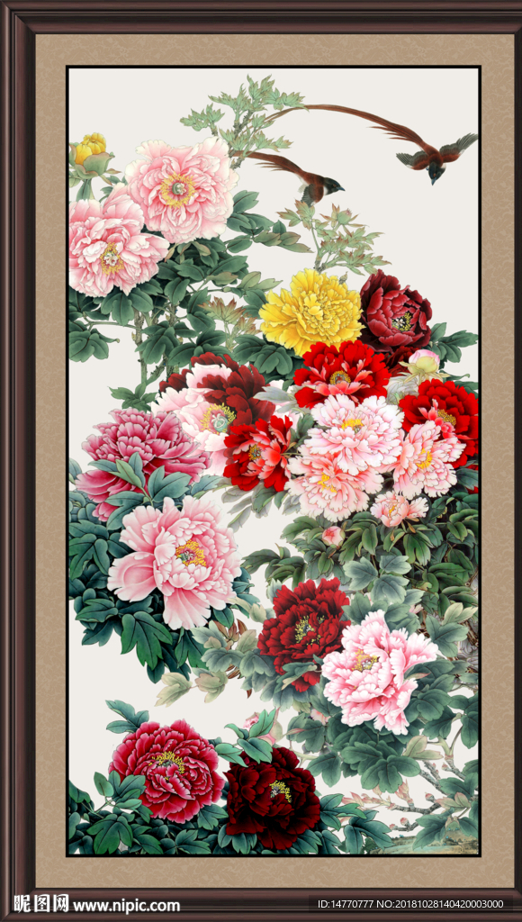花开富贵 富贵牡丹