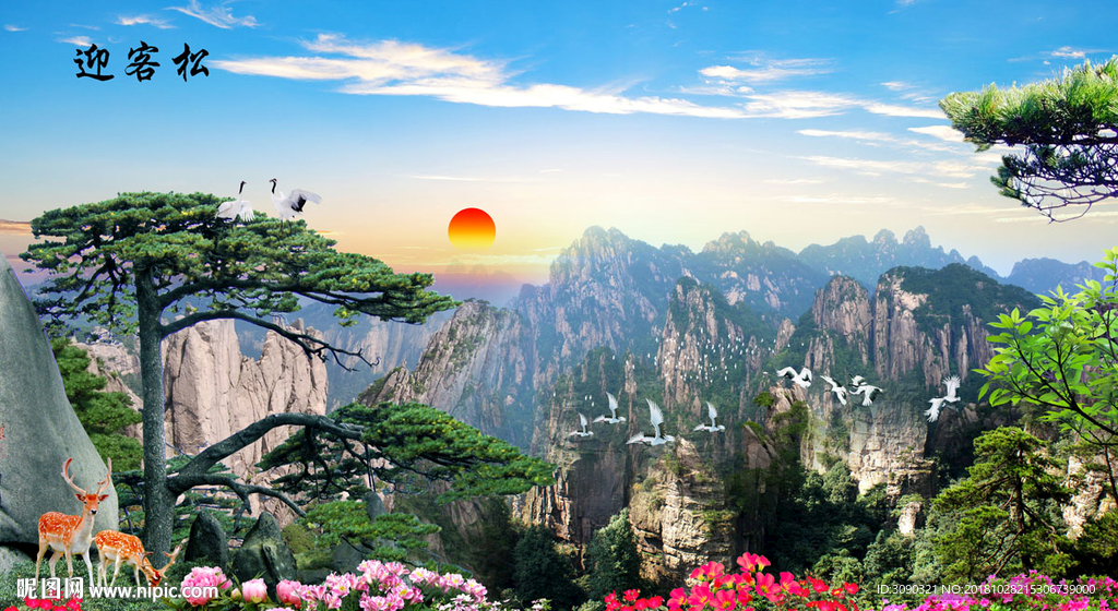 黄山迎客松