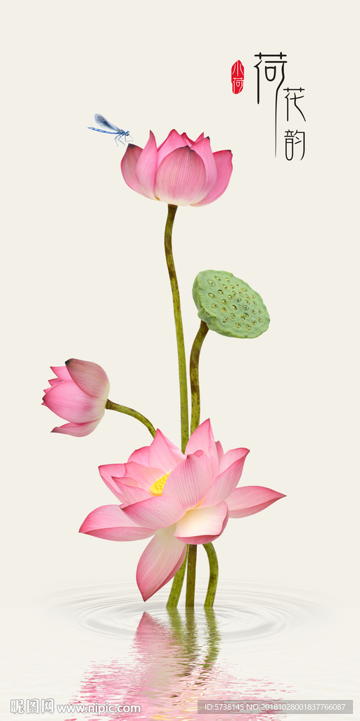 荷花写实中式玄关屏风背景底纹素