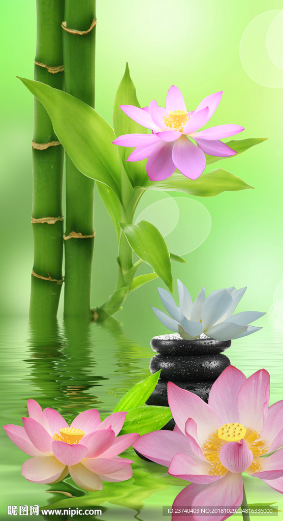 玄关背景图