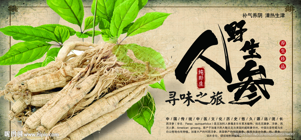 人参