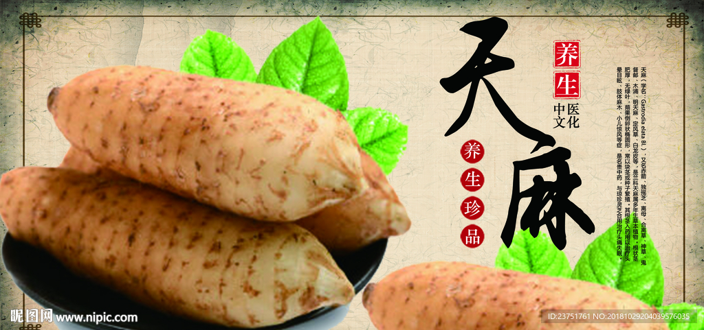 天麻