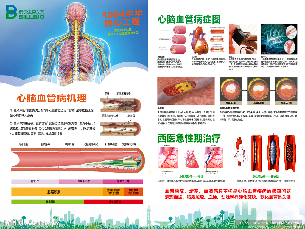 心脑血管