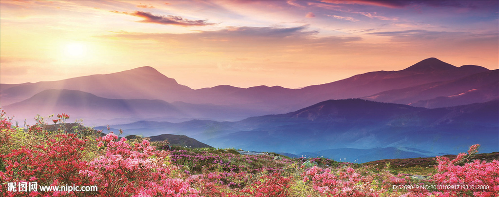 青山出日红花遍开