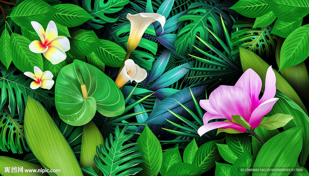 热带 植物 护肤品 化妆品 绿