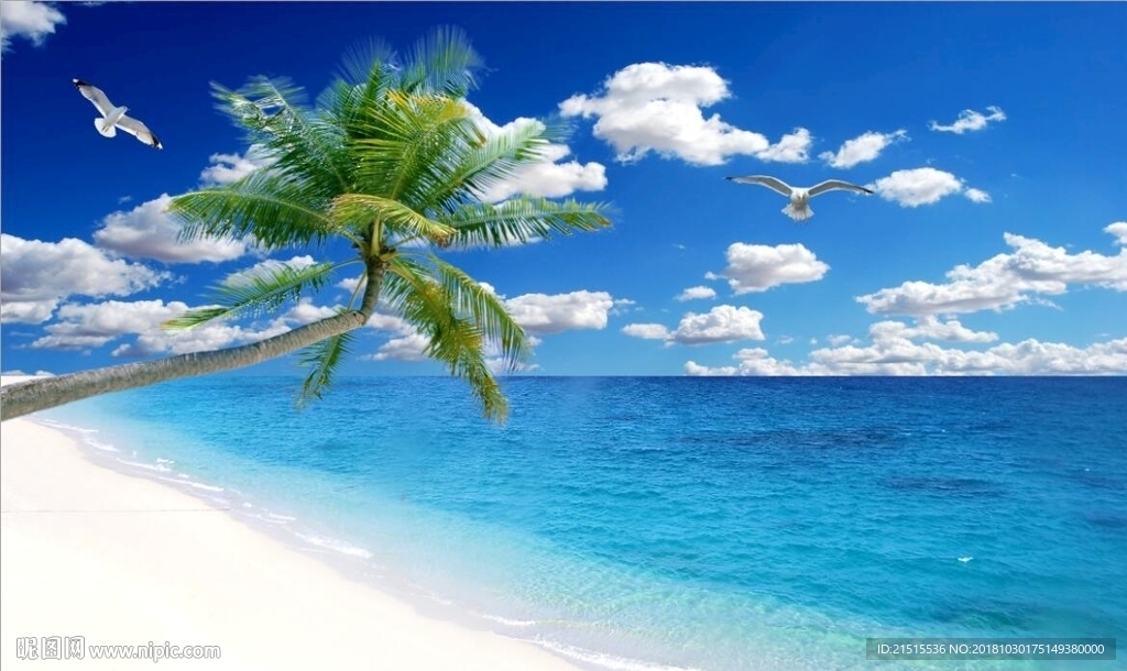 海景椰子树