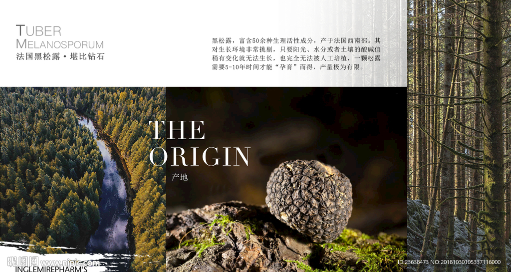 英树海报