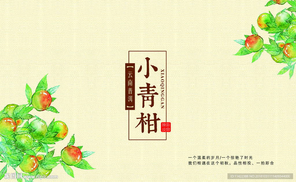 小青柑包装礼盒