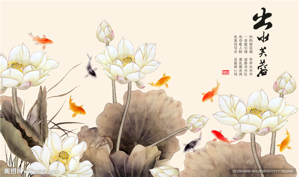出水芙蓉