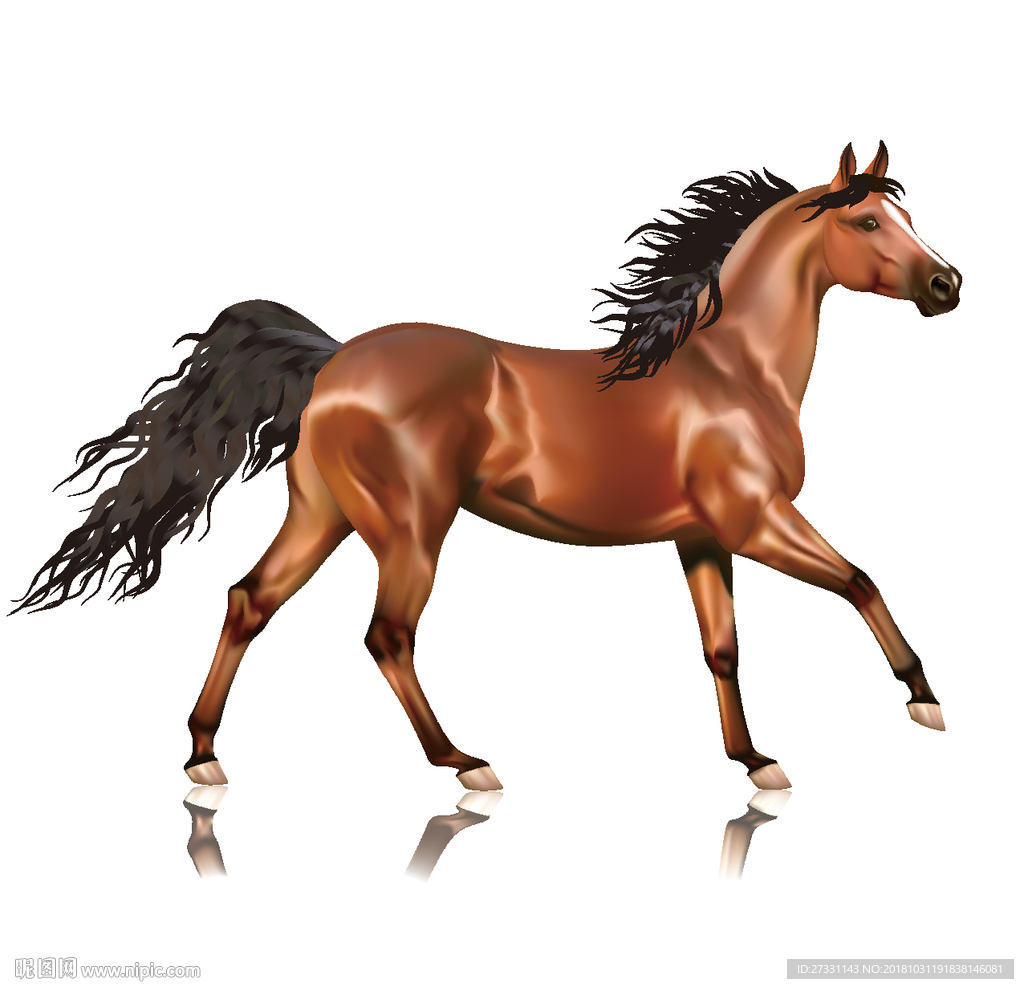 马文化 马精神 奔跑的骏马