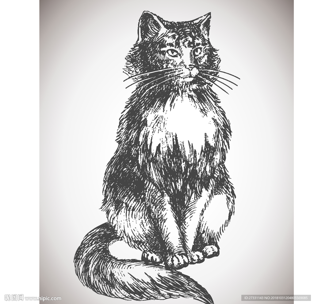 矢量猫咪