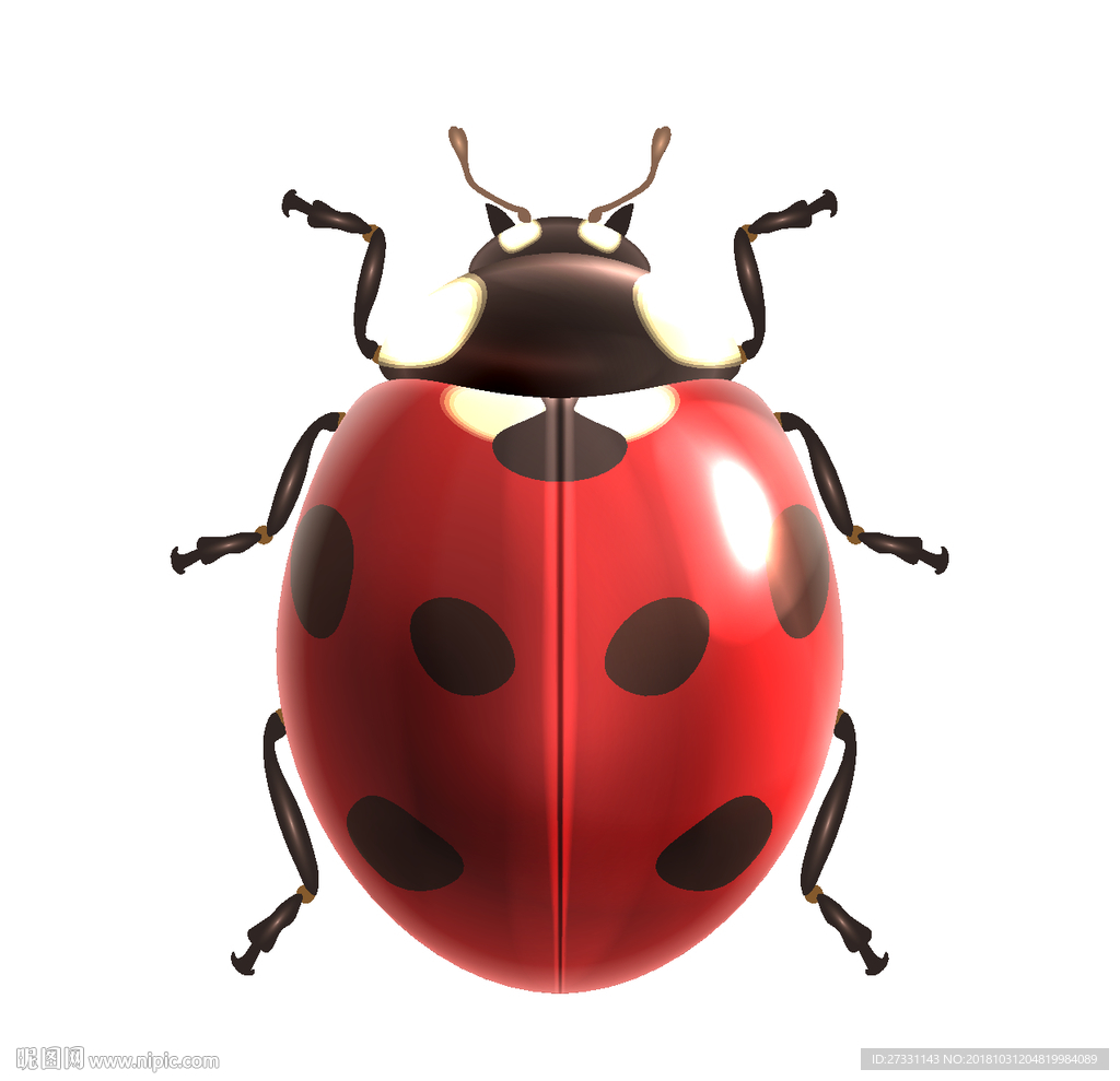 Ladybug Spots Clipart Vector Red Seven Spot Ladybug Red Ladybug 88956 ...