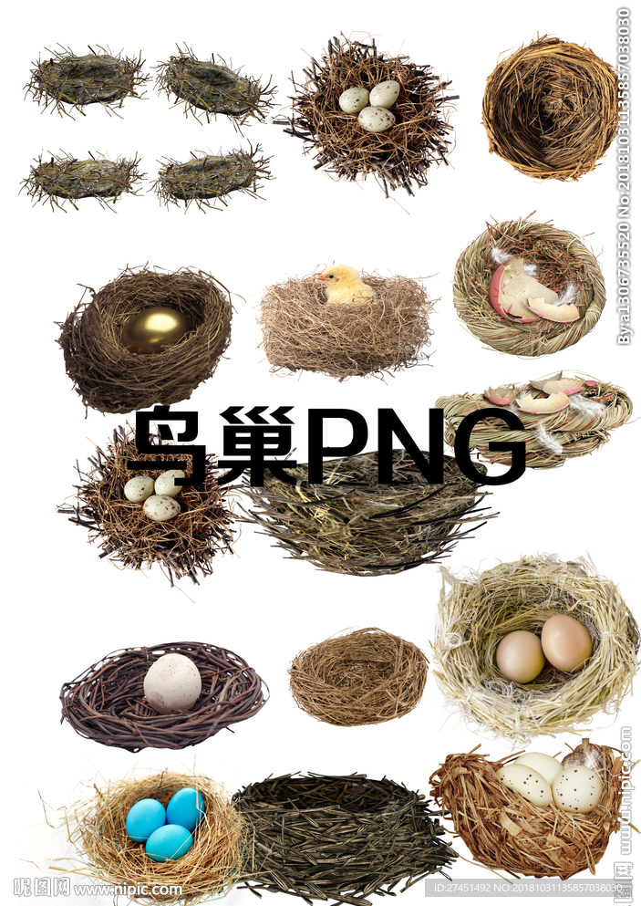 鸟巢