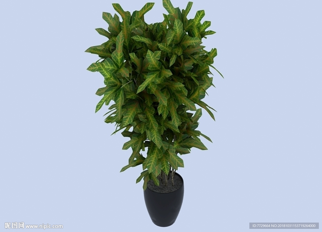 绿植模型