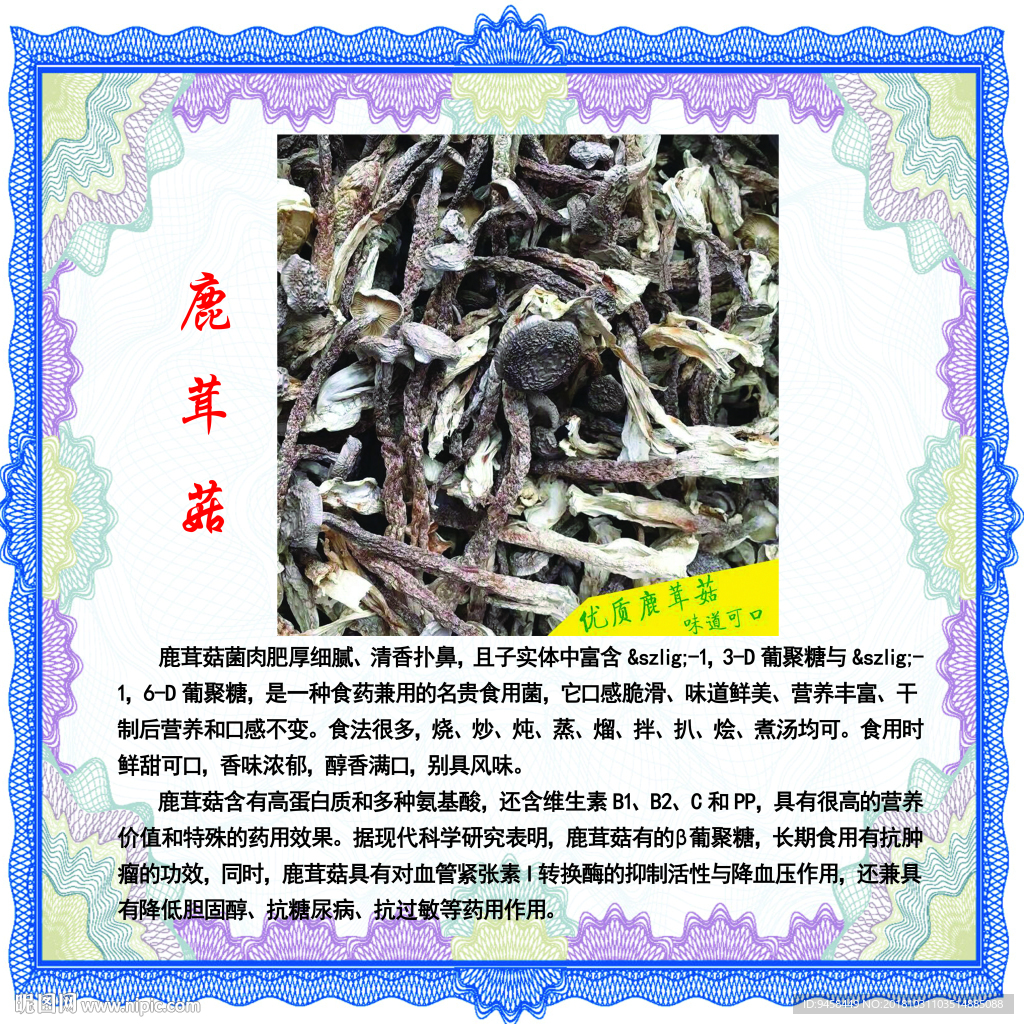 鹿茸菇葡聚糖清香扑鼻名贵