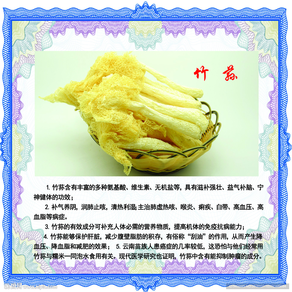 竹荪及详细资料