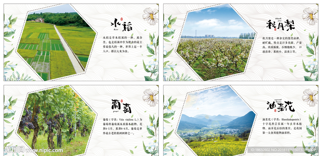 小清新绿色文艺瓜果蔬菜展板