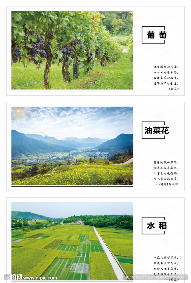 绿色小清新田园风光展板