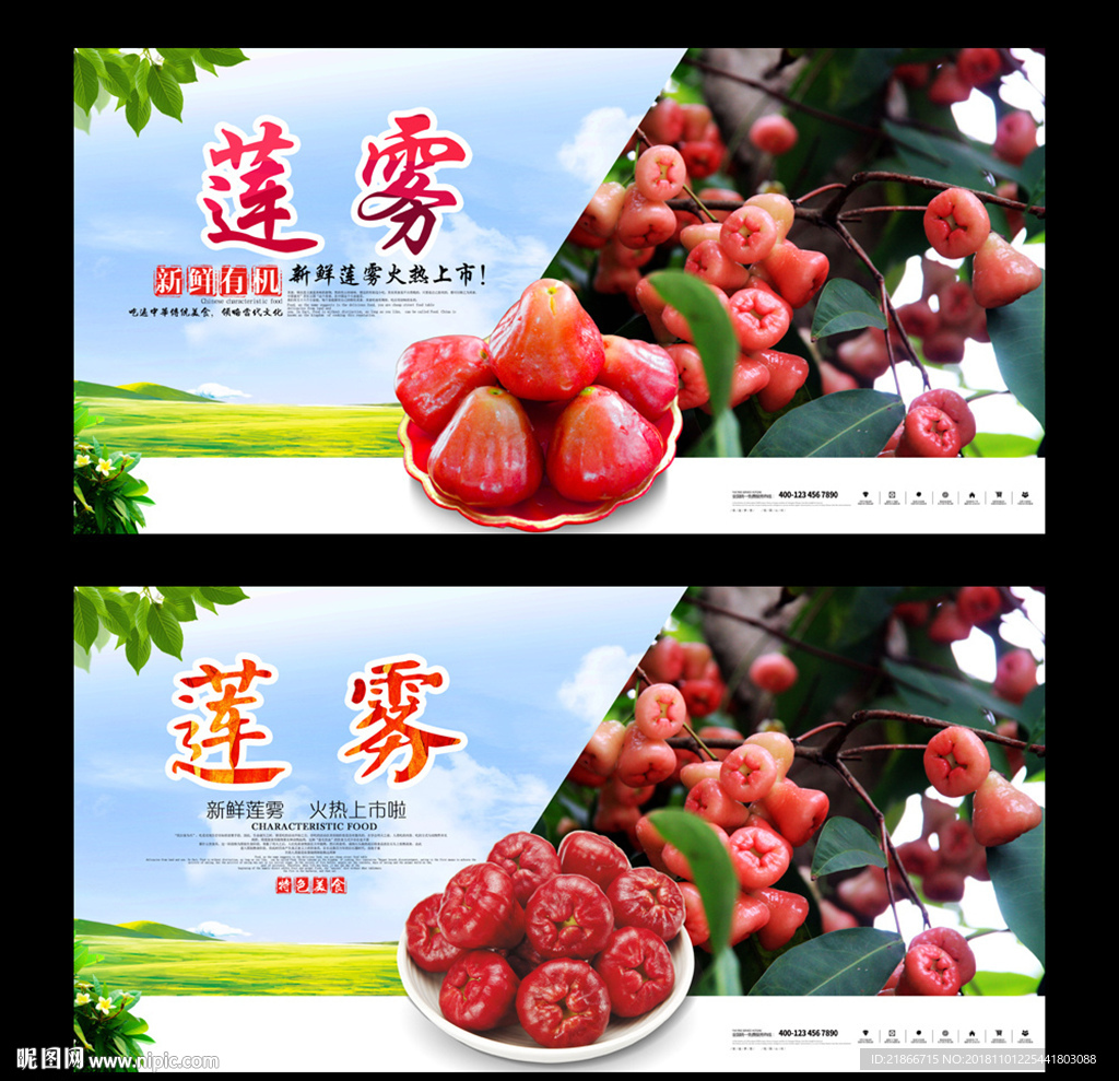 莲雾水果广告语图片