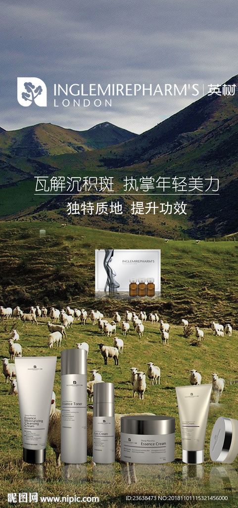 英树海报