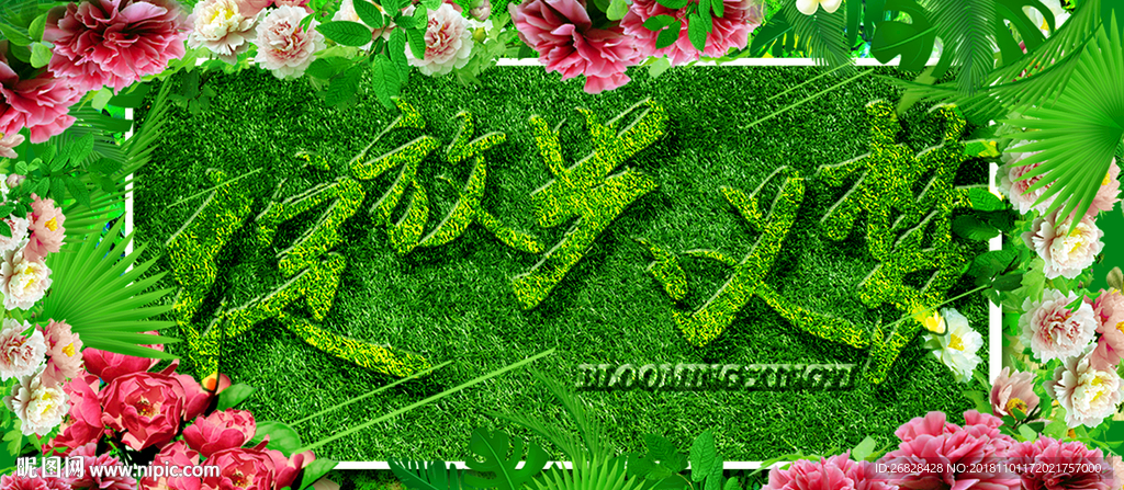 绽放梦想