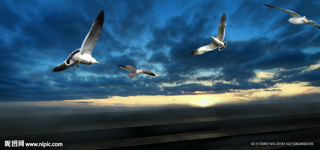 天空 梦幻天空 夕阳 日落 鸽