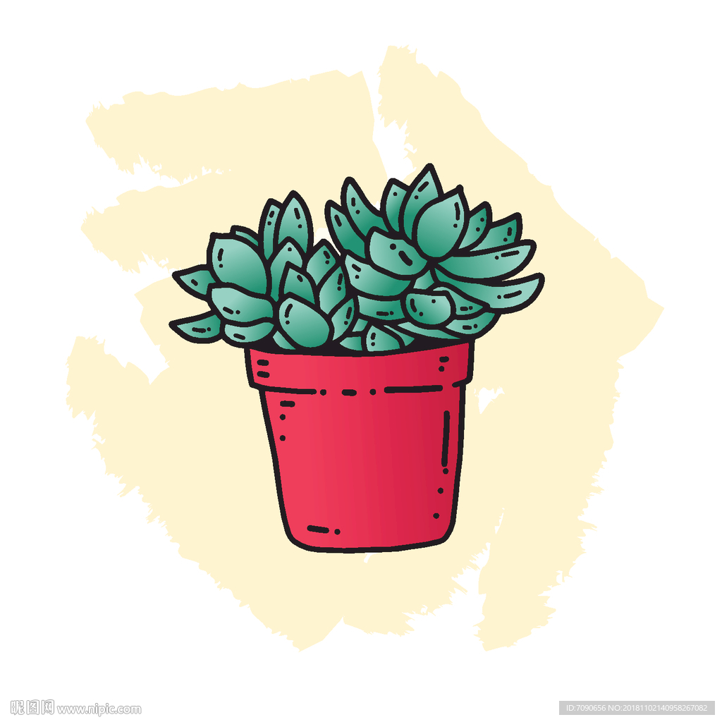 多肉植物图片