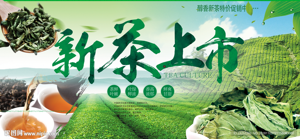 新茶上市