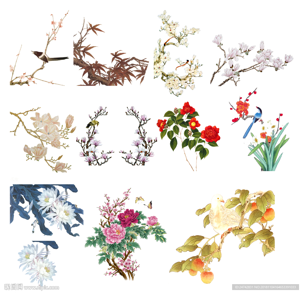 植物花卉免抠素材