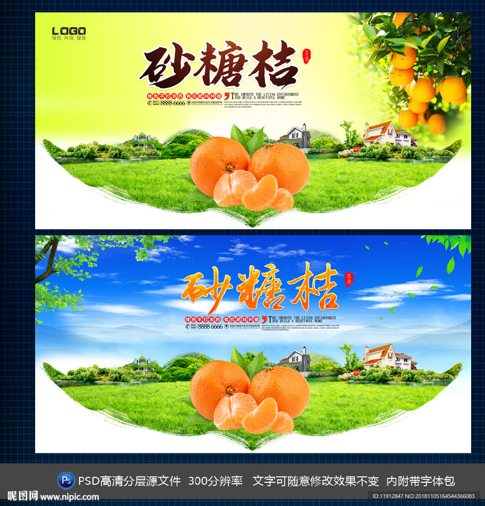 砂糖桔