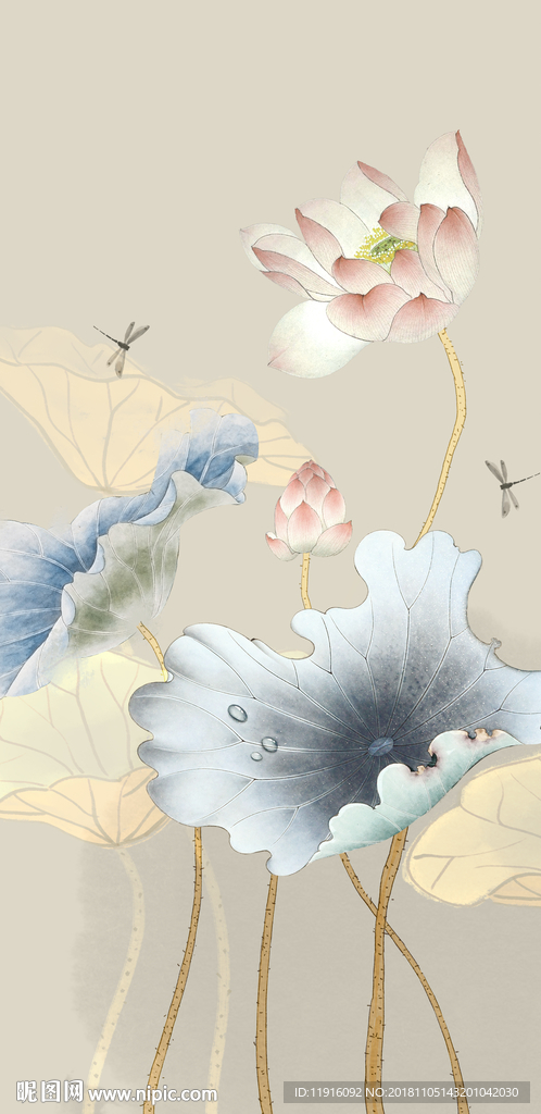 荷花