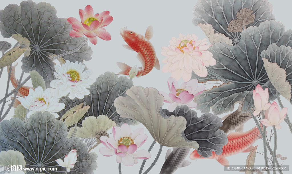 荷花鲤鱼背景墙