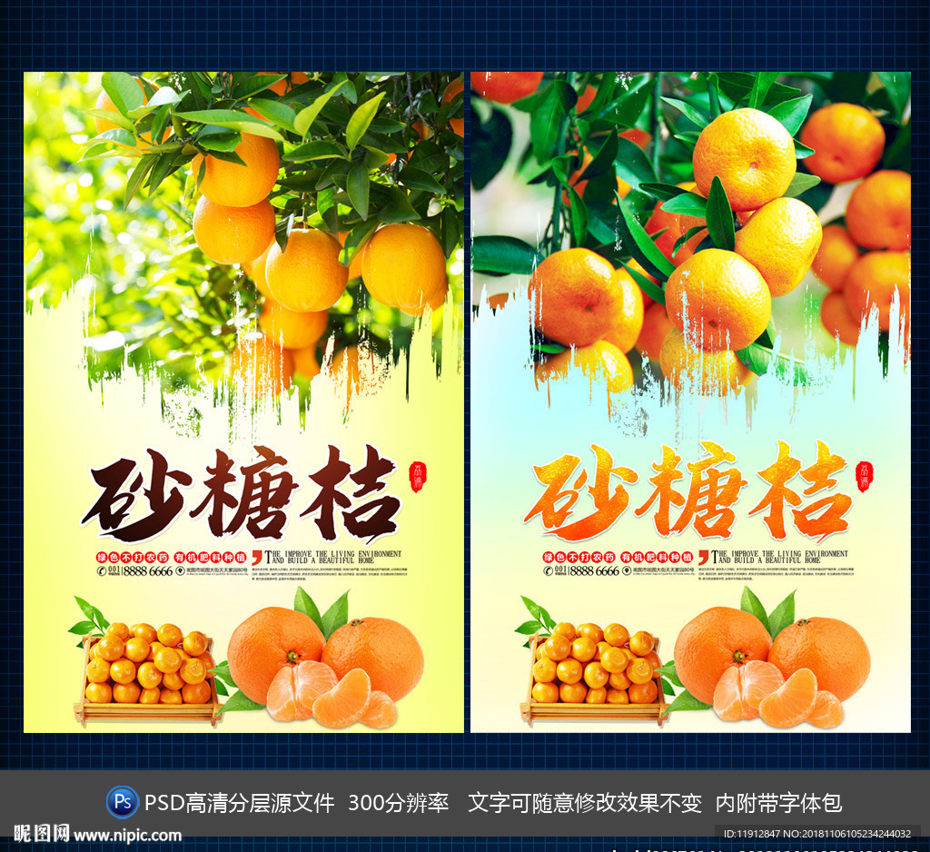 砂糖桔